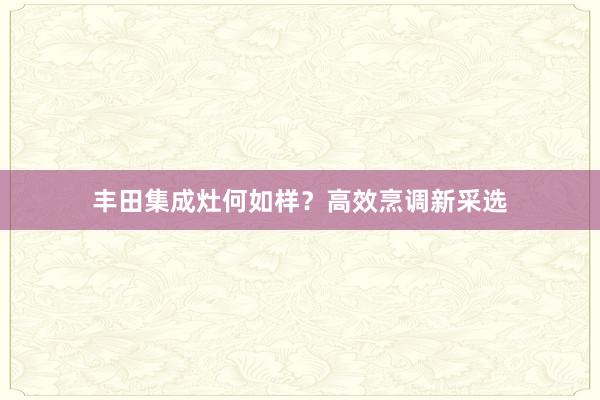 丰田集成灶何如样？高效烹调新采选